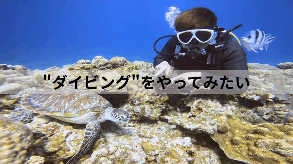 沖縄体験ダイビング一人おすすめ