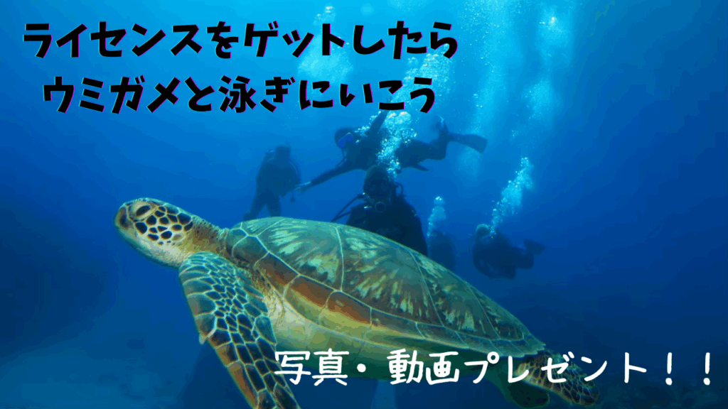 沖縄ファンダイビング一人