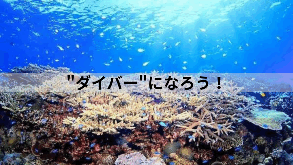 沖縄ダイビングで見れる水中の景色