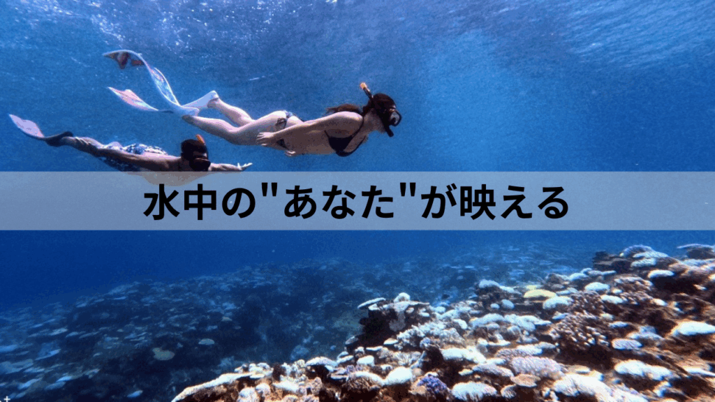 沖縄スキンダイビング初心者大歓迎