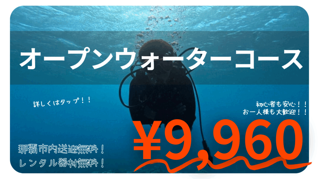 沖縄ダイビングライセンス取得初心者専門店