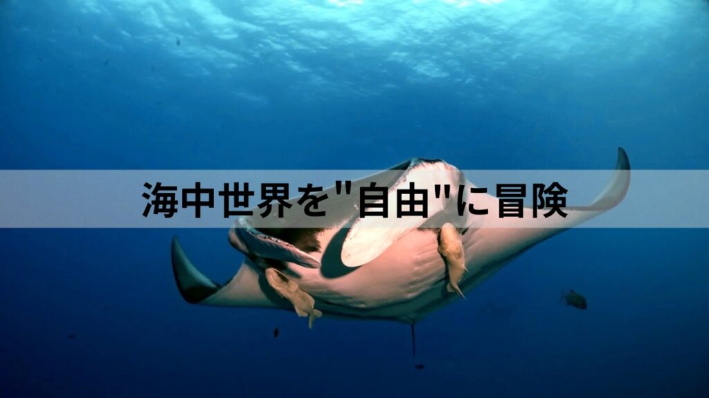沖縄ダイビング真心ダイバーズファンダイビング